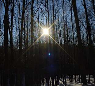 La sorgente del Tevere
