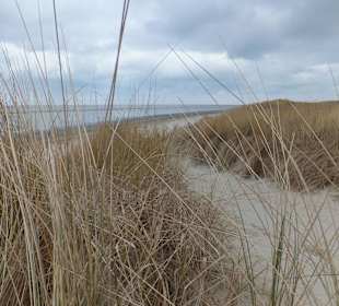 Strand im Winter