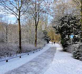Winterspaziergang durch den Bürgerpark