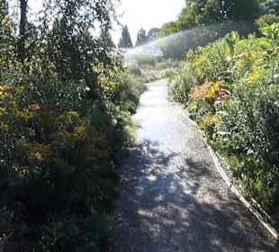 Präriegarten - Berggarten