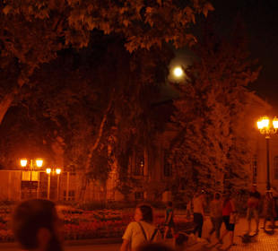 Археологический музей