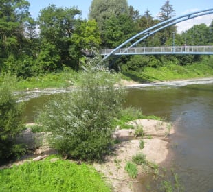 Ab der Brücke auf die Insel Werder