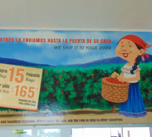 Doka Estate Kaffeeplantage