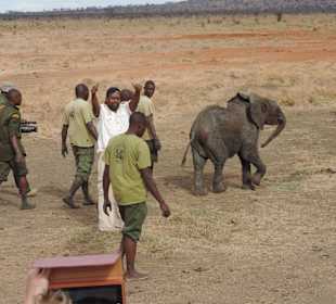 Babyfant-Rettung auf dem Weg nach Galdessa