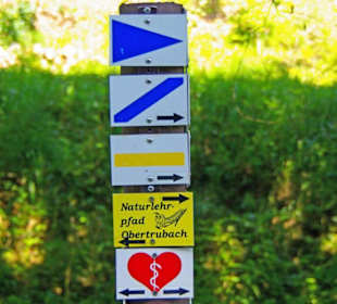 Der Therapeutische Wanderweg