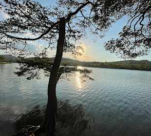 Wandern Diemelsee