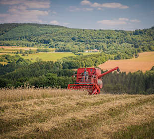 Wandern Geisfeld