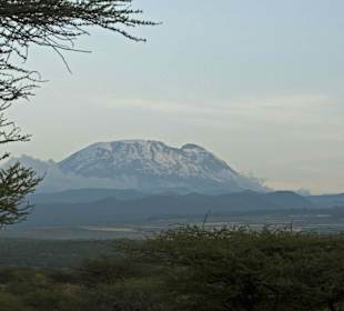 Kilimanjaro