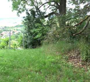 Wanderweg - Alter Steinbruch Pfaffenberg Runde
