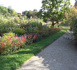 Botanischer Garten München