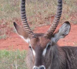 Taita Hills