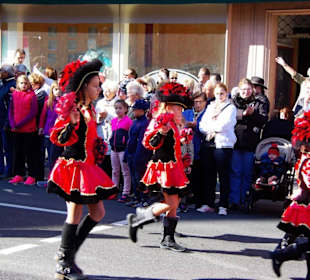 Fastnachtgesellschaften Fürth Fußgruppe