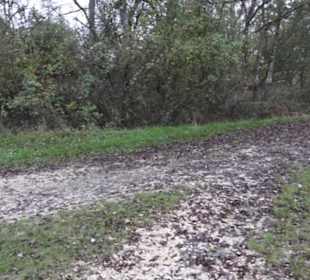 Naturschutzgebiet Listhof
