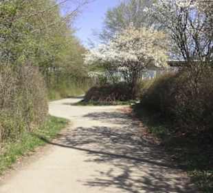 Sport- und Freizeitpark Markwasen