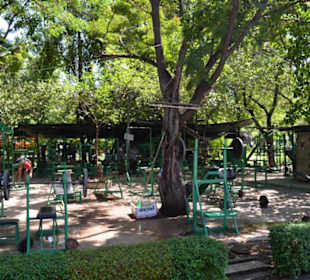 Lumphini Park