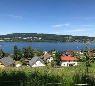 Rundwanderweg Steckborn