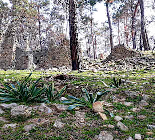 Antike Stadt Seleikeia