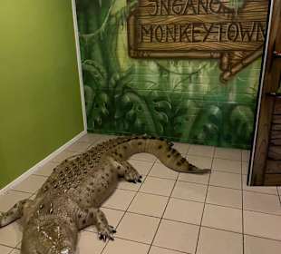 Eingang