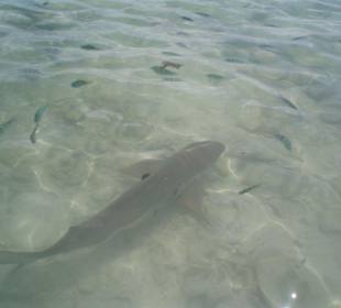 Pulau Payar(Marinepark)