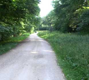 Waldlehrpfad St. Johann