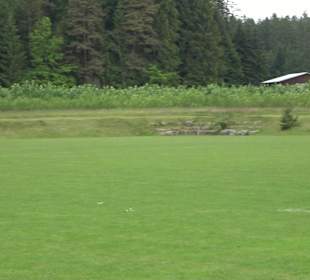 Sportgelände Obermusbach