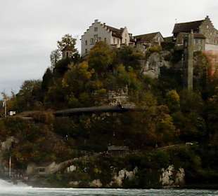 Schloss Laufen in Schaffhausen