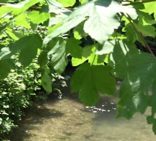 Wiesaztal Gönningen