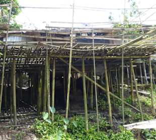 Ein typisches Langhaus der Bidayuh