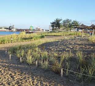 Spaziergang über den Waller Sand