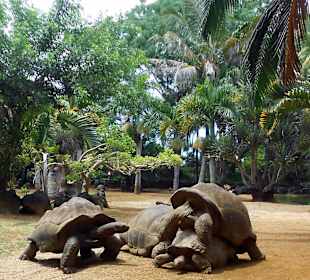 La Vanille Nature Park