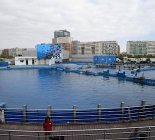 Aquarium / Oceanongrafic