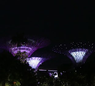 Gardens by the Bay abends
