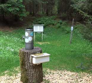 Doline Weidenwang