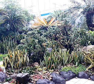 Kaktusgarten - Raucherzone