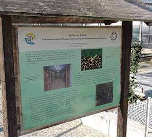 Wurzellabor mit Infotafel