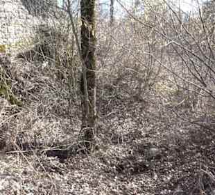 Burgruine Hohenstein