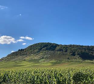 Wandern Ellenz-Poltersdorf