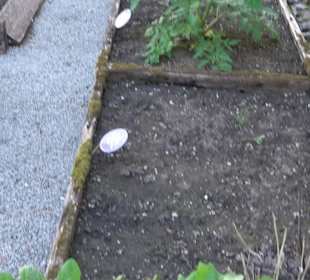 Benediktinerkloster mit Klosterkirche