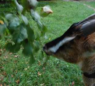 Muzeum Wsi Lubelskiej