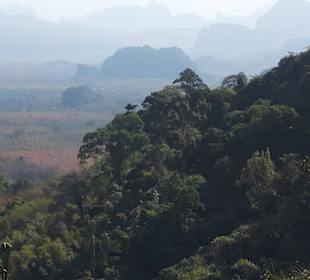 Khao Sok Nationalpark