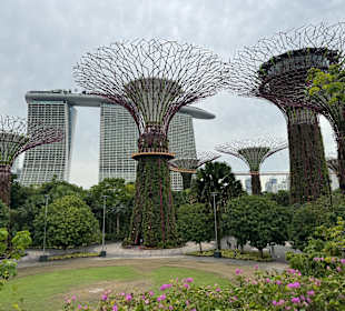 Gardens by the Bay