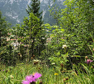 Wandern Mittenwald