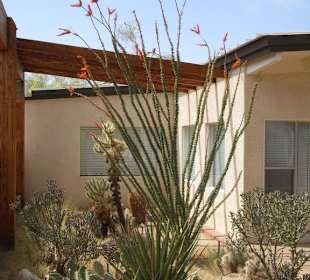 Joshua Tree National Park