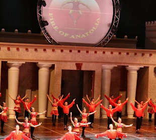 die Show