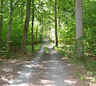 Wandern Dammbach