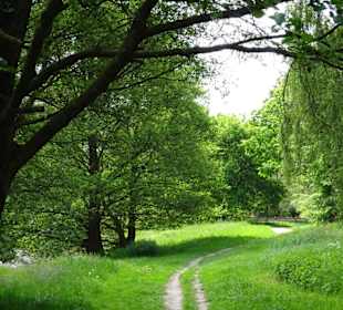 Impressionen vom Rundgang um den Tweelbäker See