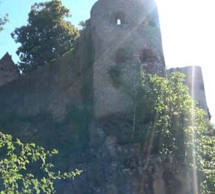 Burg Pappenheim