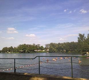 Blick auf dem See 
