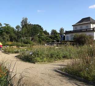 Botanischer Garten München