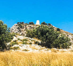 Wanderung Puig de Son Jordi